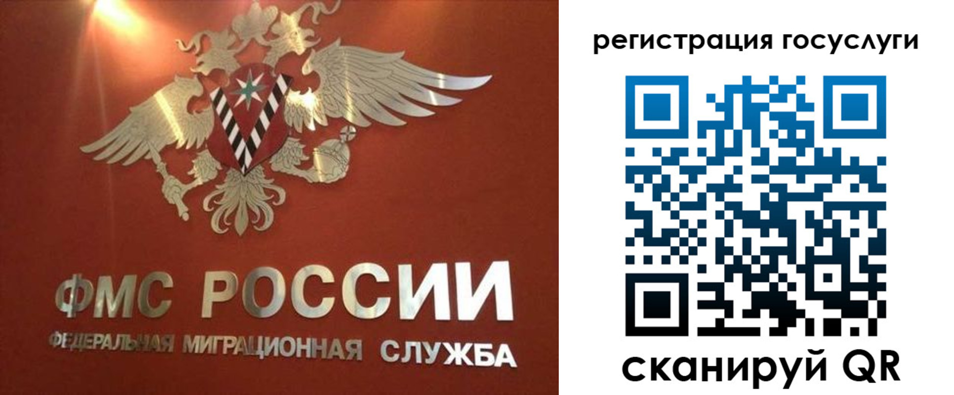прописка ребенка в Алексеевке